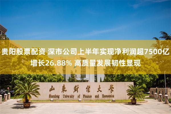 贵阳股票配资 深市公司上半年实现净利润超7500亿增长26.88% 高质量发展韧性显现