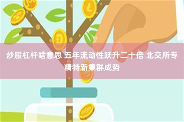 炒股杠杆啥意思 五年流动性跃升二十倍 北交所专精特新集群成势