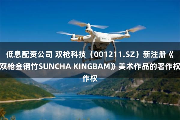 低息配资公司 双枪科技（001211.SZ）新注册《双枪金钢竹SUNCHA KINGBAM》美术作品的著作权