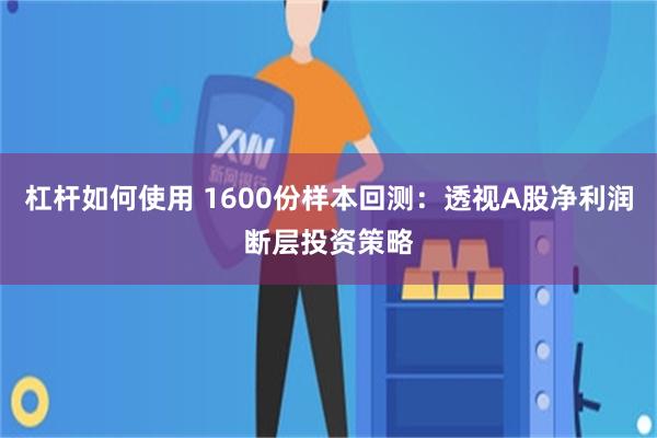 杠杆如何使用 1600份样本回测：透视A股净利润断层投资策略