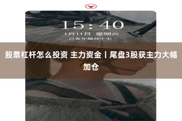 股票杠杆怎么投资 主力资金丨尾盘3股获主力大幅加仓