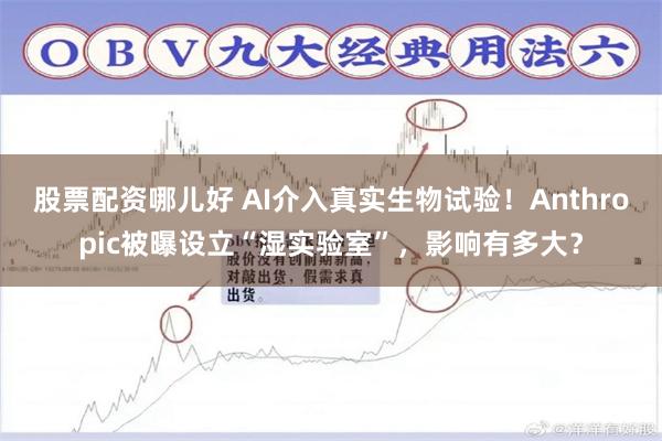 股票配资哪儿好 AI介入真实生物试验！Anthropic被曝设立“湿实验室”，影响有多大？