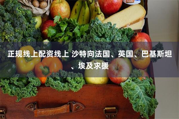 正规线上配资线上 沙特向法国、英国、巴基斯坦、埃及求援