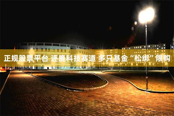 正规股票平台 逐鹿科技赛道 多只基金“松绑”限购