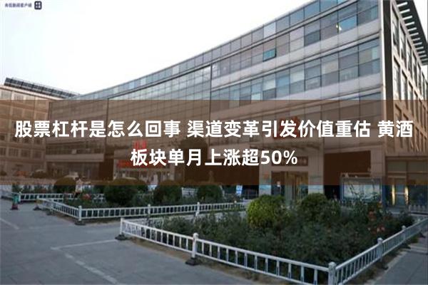 股票杠杆是怎么回事 渠道变革引发价值重估 黄酒板块单月上涨超50%