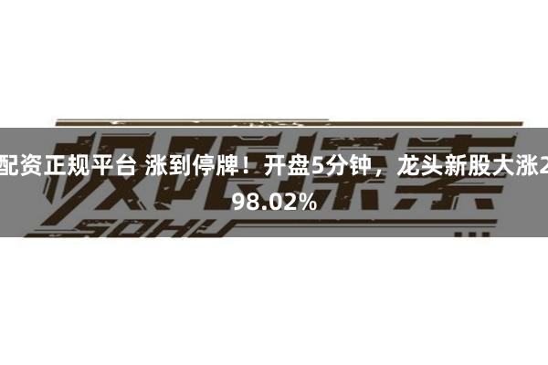配资正规平台 涨到停牌！开盘5分钟，龙头新股大涨298.02%