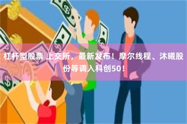 杠杆型股票 上交所，最新发布！摩尔线程、沐曦股份等调入科创50！