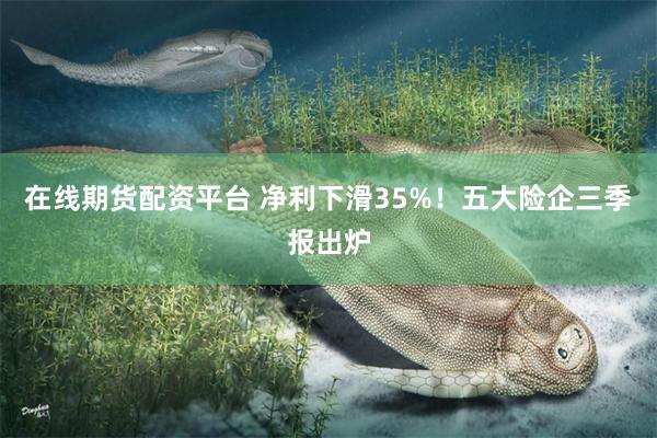 在线期货配资平台 净利下滑35%！五大险企三季报出炉